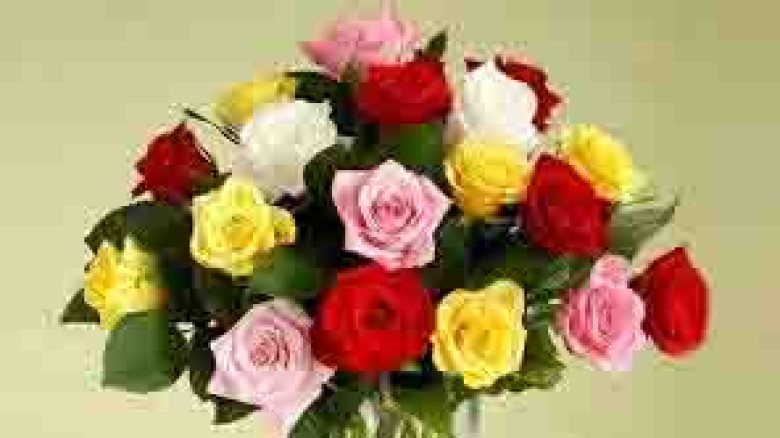 কোন রঙের গোলাপ দেবেন প্রিয়জনকে?