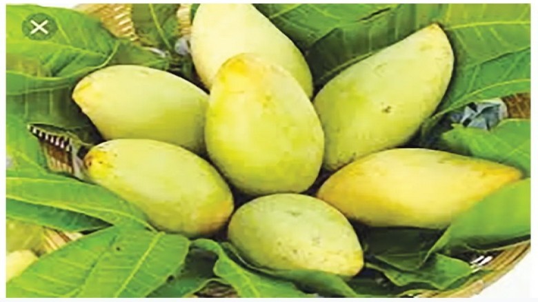 কোন আম কখন খেতে হবে